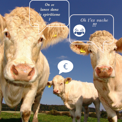 Illustration de l'article « Les vautours tuent la voyance… »