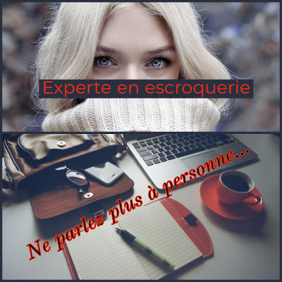 Illustration de l'article « Stardust Multimedia , arnaques industrialisées »