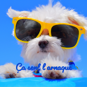 Illustration de l’article « Comment j’ai été arnaquée de 10479 € »