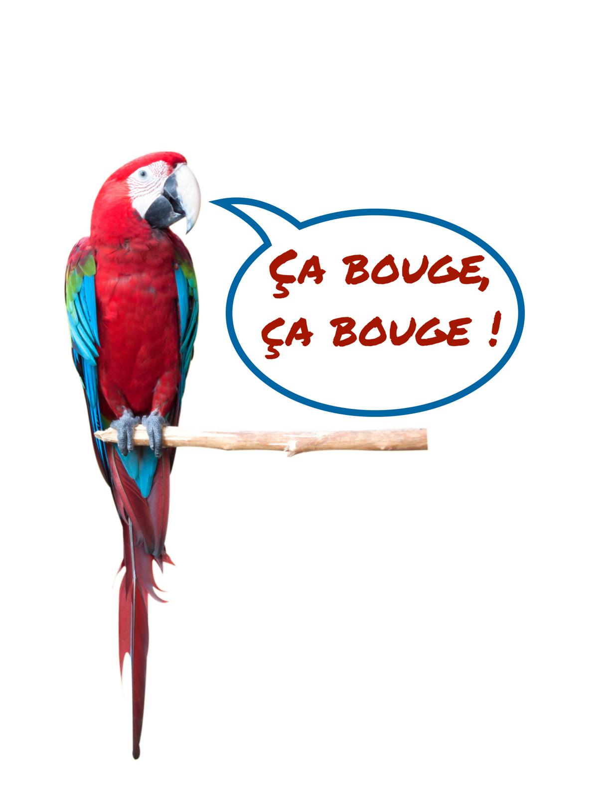 Illustration de l'article « Voyance en ligne : les plateformes dans l’ombre,  »