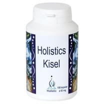 Holistic Kisel