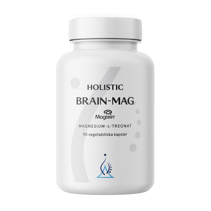 Holistic Brain-Mag