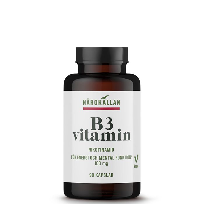 B3 Nikotinamid