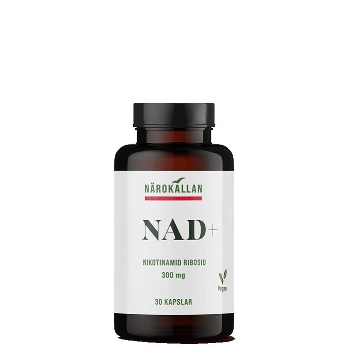 NAD+ Nikotinamid Ribosid 300 mg