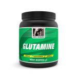 Body Science Glutamine