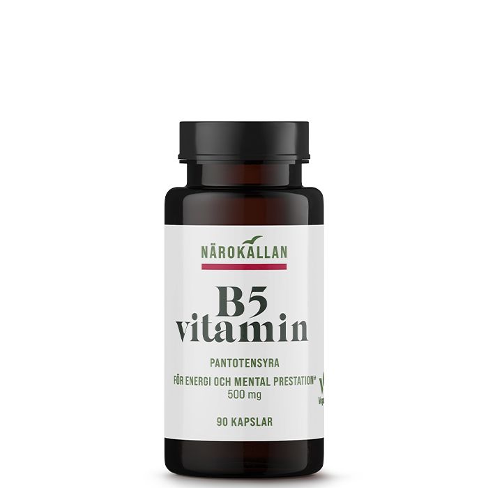 B5