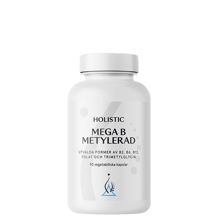 Mega B Metylerad