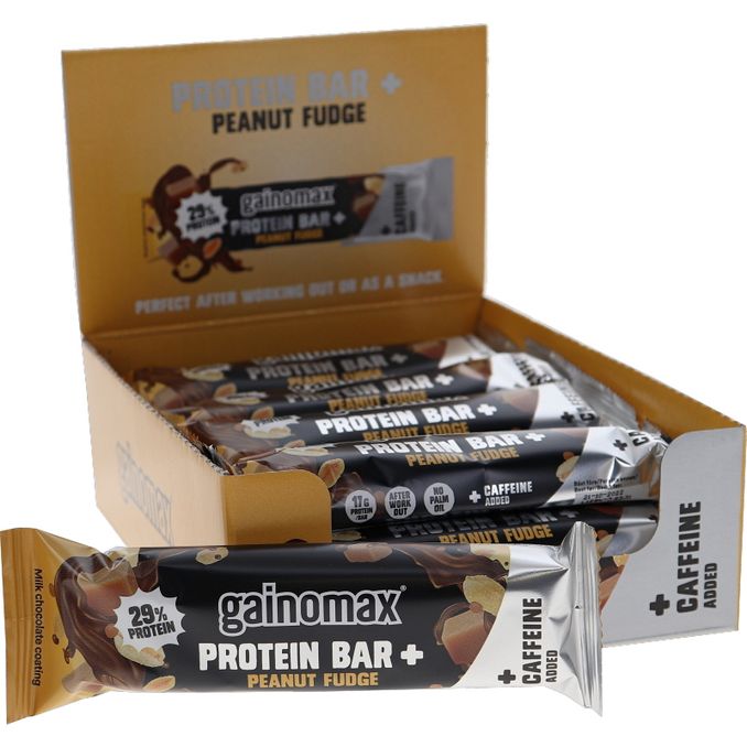 Gainomax Protein Bar Peanut Fudge