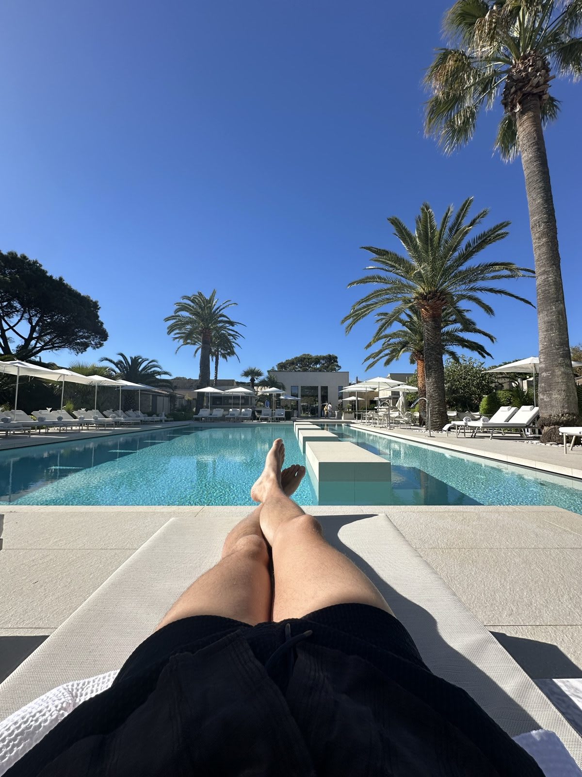 Sun loungers by the pool surrounded by palm trees Hotel Sezz Saint-Tropez
