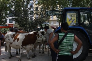 Le gouvernement décale son plan d'urgence destiné aux agriculteurs
