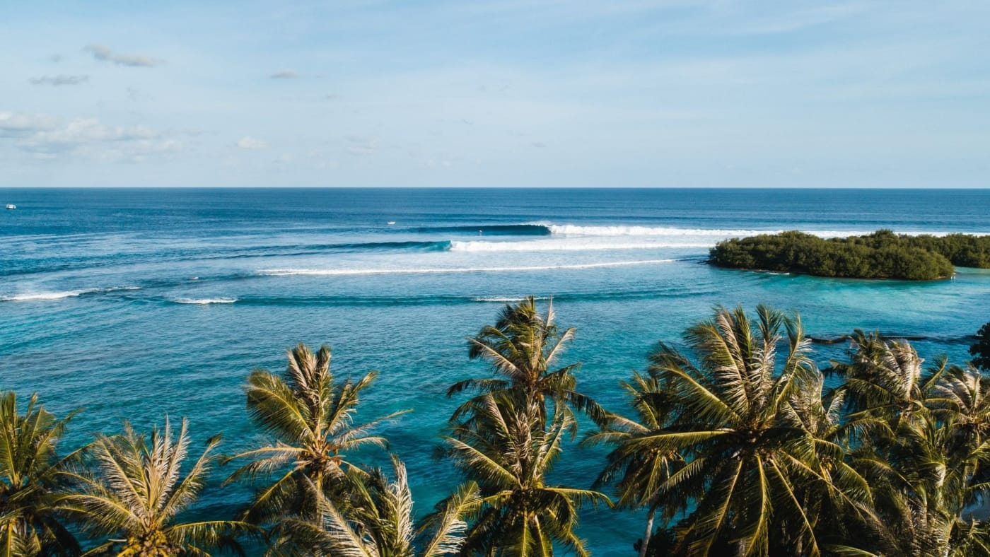 Des cocotiers au premier plan, un lagon et des vagues sur le récif aux Maldives