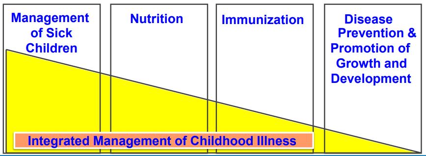 6.26 - Project 2021 - IMCI training - IMCI chart.JPG