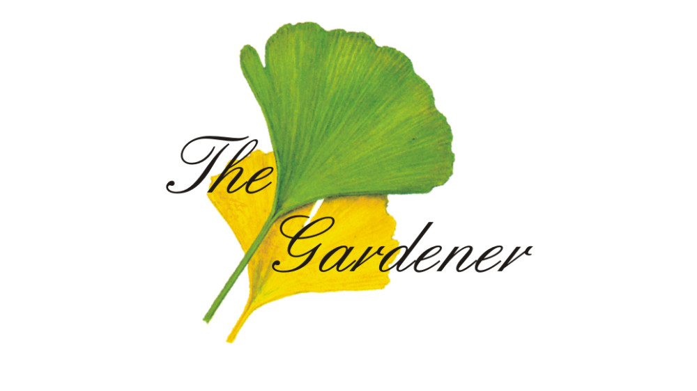 Wolfgang Lüttich Manfred Lüttich GbR Gartengestaltung in Altenstadt