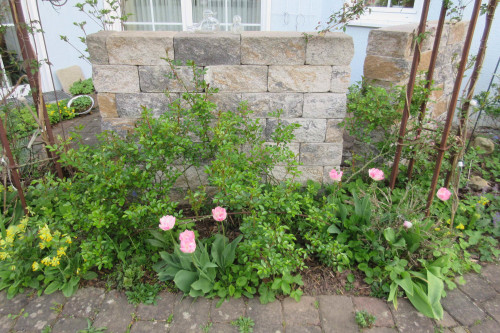 Garten u. Landschaftsbau Gerhard Endrich in Zellingen
