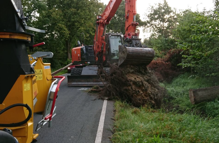 Beispielarbeit von Der Baumprofi Melhaff - veröffentlicht auf Gartenbau.org
