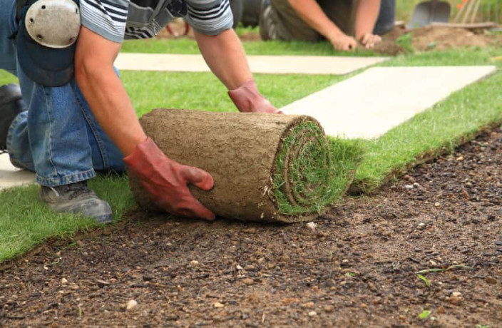 Beispielarbeit von Gartengestaltung Sascha Zinn - veröffentlicht auf Gartenbau.org