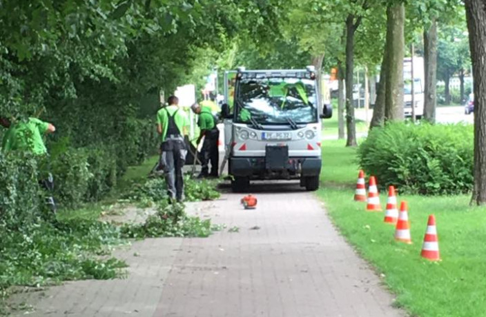 Beispielarbeit von PG Gruppe Garten- und Landschaftsbau GmbH - veröffentlicht auf Gartenbau.org