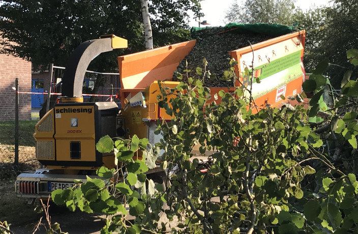 Beispielarbeit von PG Gruppe Garten- und Landschaftsbau GmbH - veröffentlicht auf Gartenbau.org