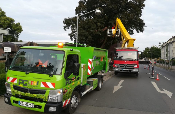 PG Gruppe Garten und Landschaftsbau GmbH in Peine