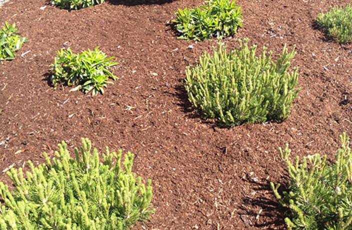 Beispielarbeit von Dervishaj GmbH - veröffentlicht auf Gartenbau.org