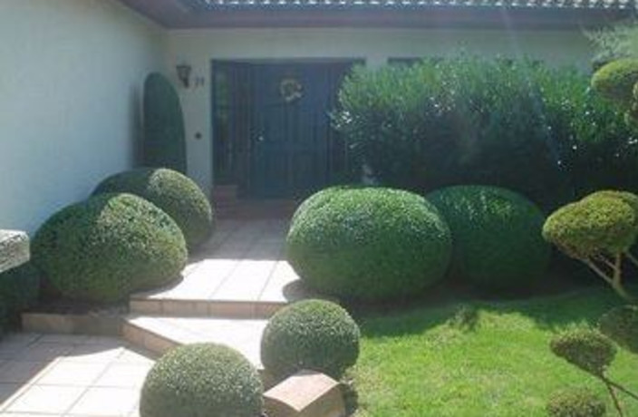 Beispielarbeit von Baumpflege und Sanierung M. Müller - veröffentlicht auf Gartenbau.org
