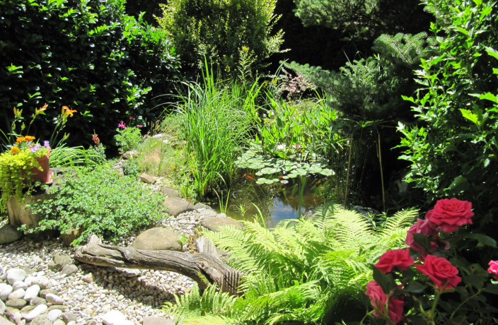 Beispielarbeit von Voigt Landschafts- und Gartengestaltung - veröffentlicht auf Gartenbau.org