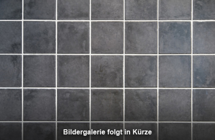 Beispielarbeit von Herbert Wiegmann Fliesenverlegung und Handel - veröffentlicht auf Fliesenleger.net