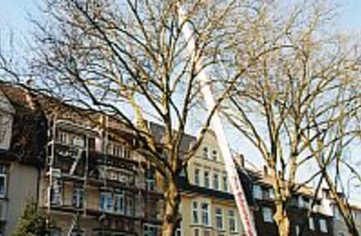 Beispielarbeit von Dachdecker Uwe Scheunemann - veröffentlicht auf Dachdecker.com