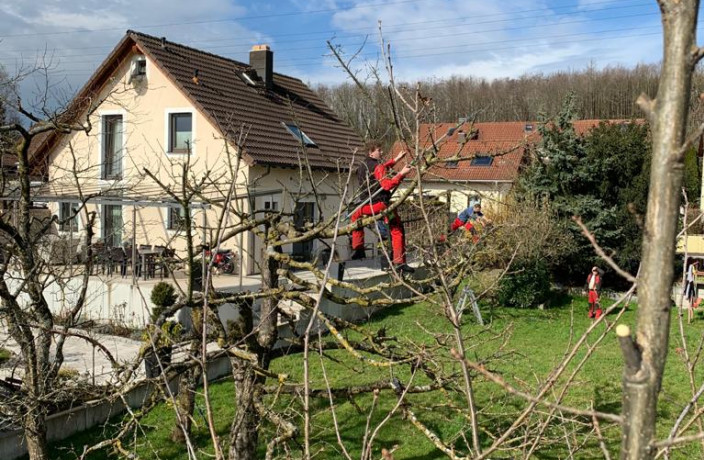Beispielarbeit von Holzfällerei Geigenberger - veröffentlicht auf Gartenbau.org