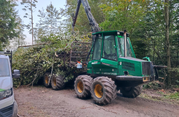 Beispielarbeit von Tobias Wolf Garten- und Landschaftspflege - veröffentlicht auf Gartenbau.org