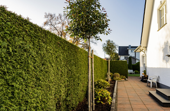Beispielarbeit von Oevermann GmbH - veröffentlicht auf Gartenbau.org