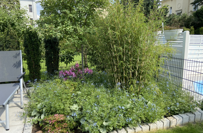 Beispielarbeit von AstReiner Haus- und Gartenservice Inh. Thomas Keller - veröffentlicht auf Gartenbau.org
