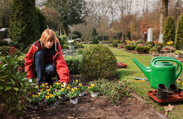 Beispielarbeit von 1A Garten Fink - veröffentlicht auf Gartenbau.org