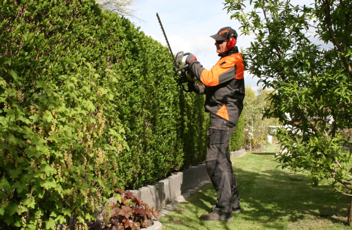 Beispielarbeit von Baumfällung Friedrich - veröffentlicht auf Gartenbau.org