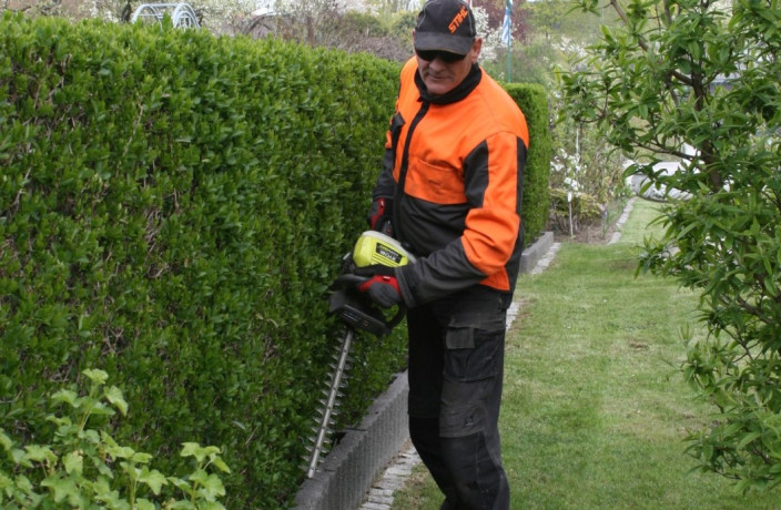Beispielarbeit von Baumfällung Friedrich - veröffentlicht auf Gartenbau.org