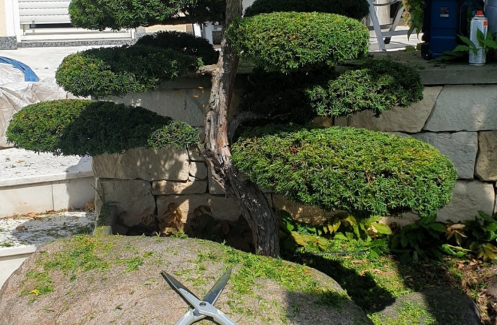 Beispielarbeit von Sinnesgärten Sharon Hudson - veröffentlicht auf Gartenbau.org
