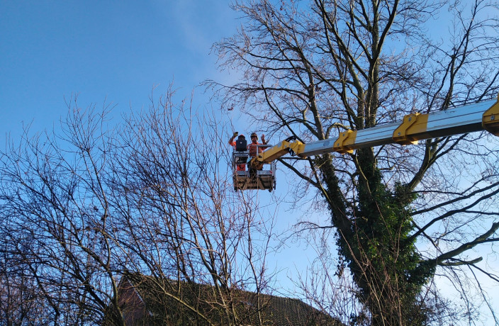 Beispielarbeit von Schnittwerk Landschaftspflege A. Schrage - veröffentlicht auf Gartenbau.org