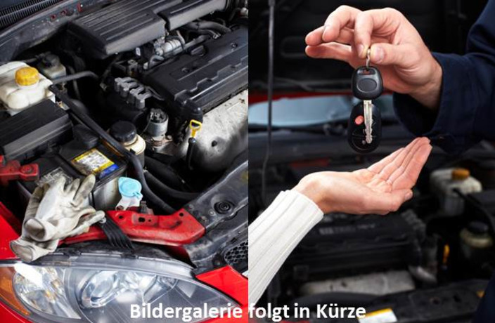 Beispielarbeit von Ronald Billig Auto Billig - veröffentlicht auf Auto-Werkstatt.de