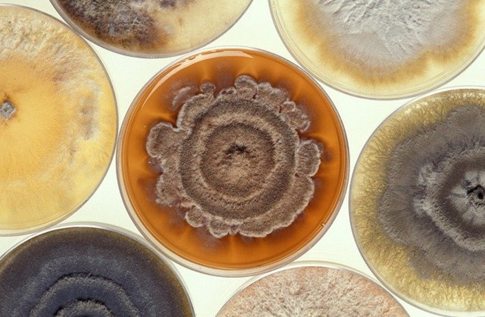 Beispielarbeit von Baubiologie Kreuer - veröffentlicht auf Gutachter.org