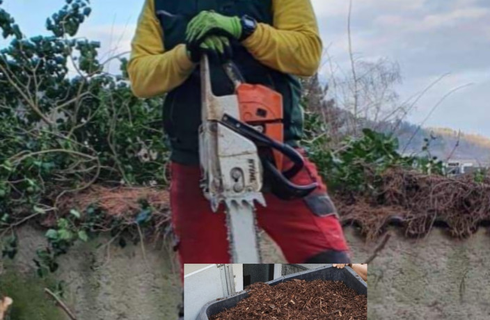 Beispielarbeit von Wolfgang Matt Baum- & Gartenpflege - veröffentlicht auf Gartenbau.org