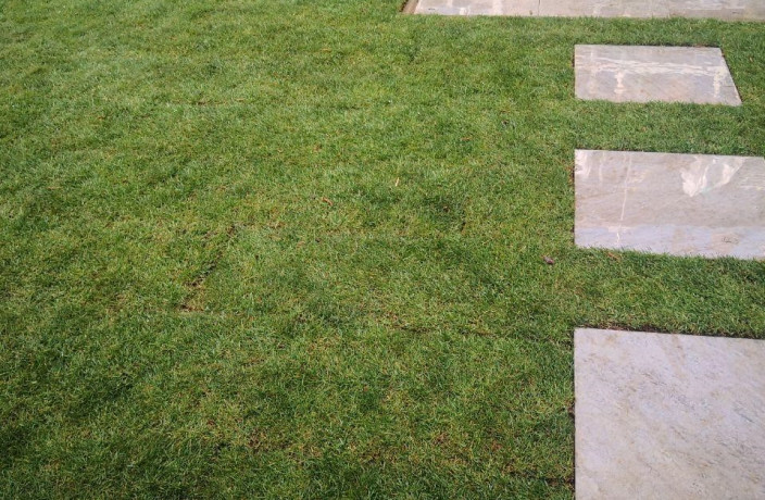 Beispielarbeit von Bytyqi-Gartenbau - veröffentlicht auf Gartenbau.org