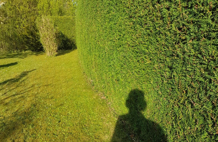 Beispielarbeit von Gartenbau Susan - veröffentlicht auf Gartenbau.org