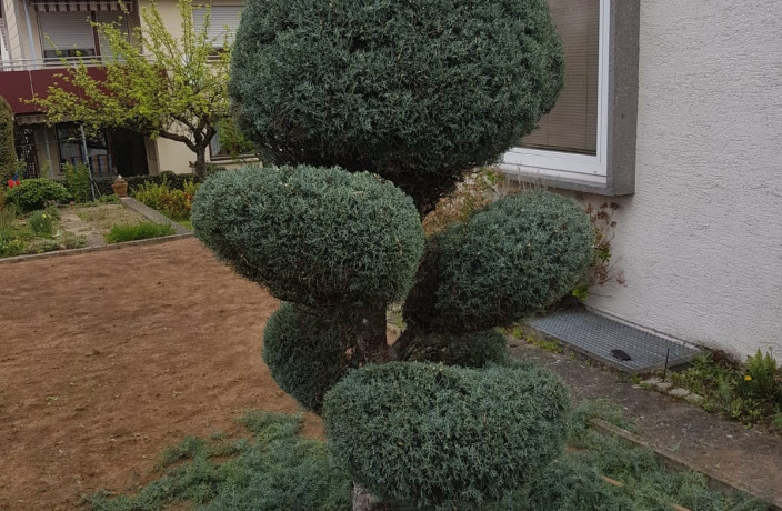 Beispielarbeit von Gartenbau Susan - veröffentlicht auf Gartenbau.org