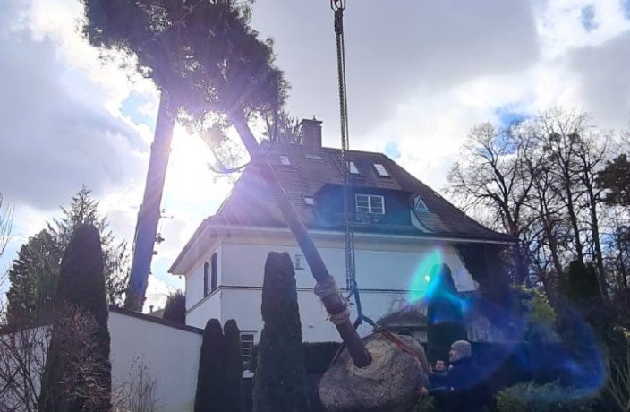 Beispielarbeit von Olchinger Garten- und Landschaftsbau GmbH - veröffentlicht auf Gartenbau.org