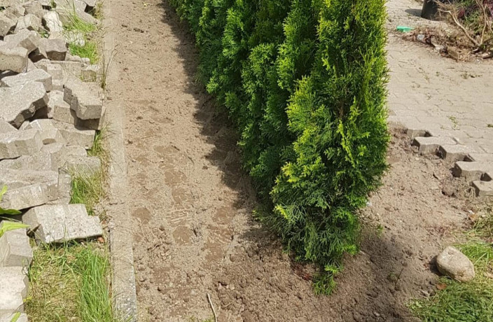 Beispielarbeit von M&D Dienstleistungen UG - veröffentlicht auf Gartenbau.org