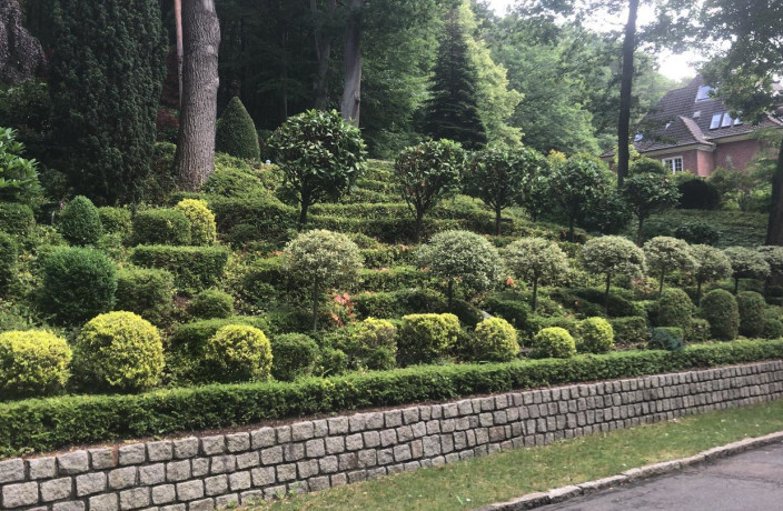 Beispielarbeit von M&D Dienstleistungen UG - veröffentlicht auf Gartenbau.org