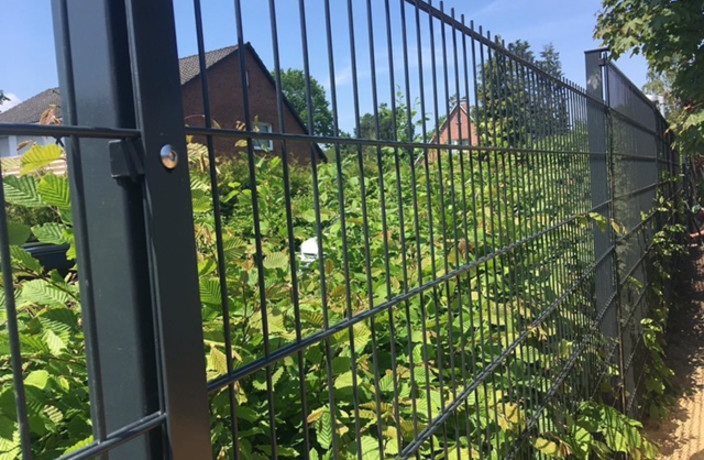 Beispielarbeit von M&D Dienstleistungen UG - veröffentlicht auf Gartenbau.org