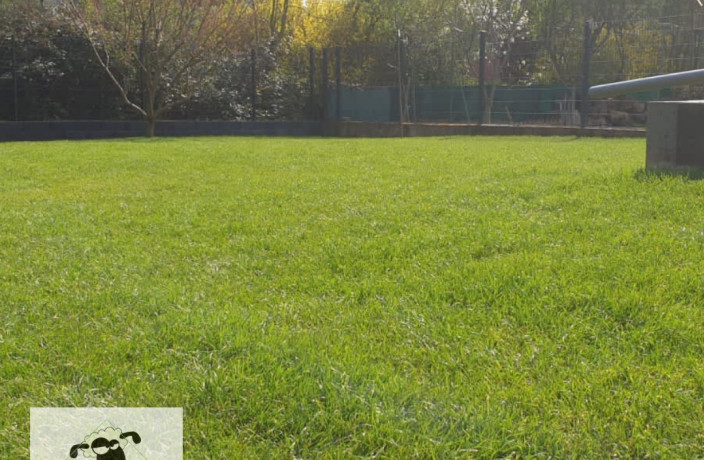 Beispielarbeit von Der Mäh - Service - veröffentlicht auf Gartenbau.org