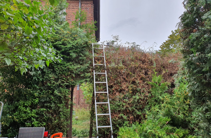 Beispielarbeit von Team Wester Garten Landschaftbau GbR - veröffentlicht auf Gartenbau.org