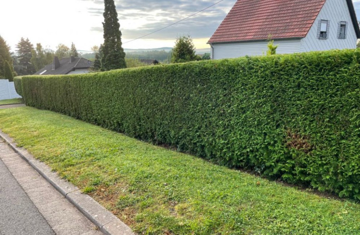 Beispielarbeit von Wolfanger Landschaftspflege GmbH - veröffentlicht auf Gartenbau.org